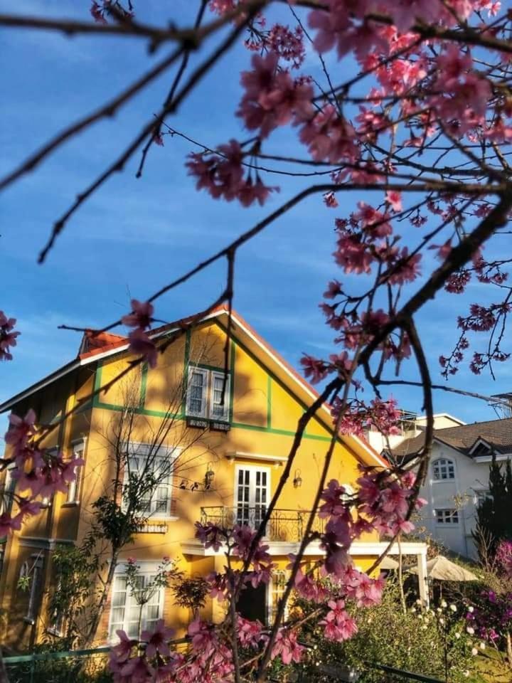 Bich Dao Boutique - Dalat Hotel Exterior foto